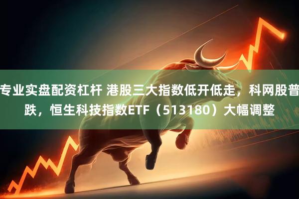 专业实盘配资杠杆 港股三大指数低开低走，科网股普跌，恒生科技指数ETF（513180）大幅调整