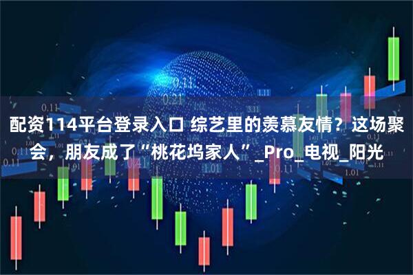 配资114平台登录入口 综艺里的羡慕友情？这场聚会，朋友成了“桃花坞家人”_Pro_电视_阳光