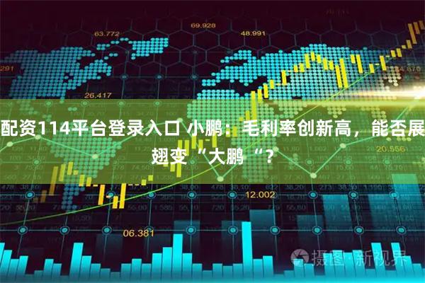 配资114平台登录入口 小鹏：毛利率创新高，能否展翅变 “大鹏 “？