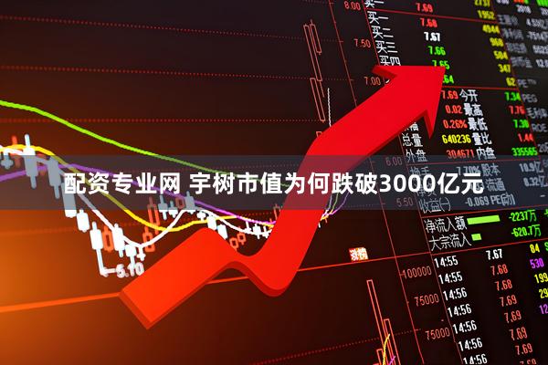 配资专业网 宇树市值为何跌破3000亿元